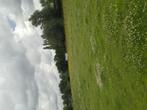 Weide, Dieren en Toebehoren, Stalling en Weidegang