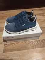 Basket Geox en cuir neuf taille 31, Overige typen, Nieuw, Ophalen of Verzenden, Jongen