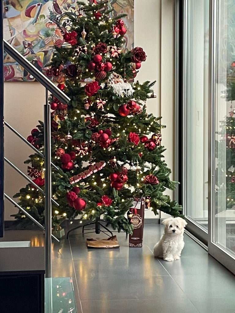 Sapin de Noël avec accessoires, Enlèvement, Comme neuf