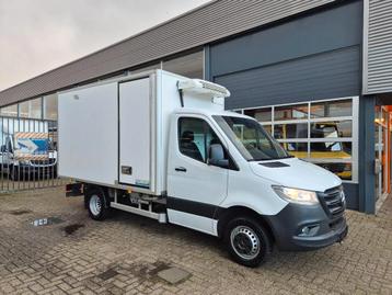 Mercedes-Benz Sprinter 516 CDI Kuhlkoffer/ TK V200 MAX -20/  beschikbaar voor biedingen