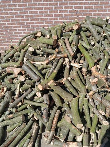 Brandhout: eik (takhout) beschikbaar voor biedingen