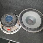 FANE   15 inch speaker    2x, Ophalen of Verzenden