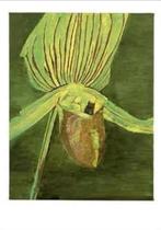 Luc Tuymans Orchid kunstdruk, Ophalen of Verzenden