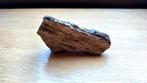 Versteend hout, Verzamelen, Ophalen of Verzenden