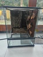 Terrarium  exoterra 45/60/45