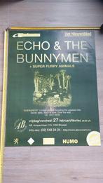 Concert poster Echo & The Bunnymen Ancienne Belgique, Ophalen of Verzenden, Zo goed als nieuw