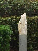 Fossiel hout, prachtig beeld, Ophalen