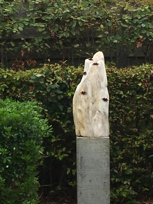 Fossiel hout, prachtig beeld, Antiek en Kunst, Kunst | Beelden en Houtsnijwerken, Ophalen