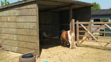 Schuilstal, schuilhok, paardenstal in voorraad beschikbaar voor biedingen