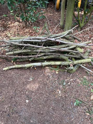 Brandhout beschikbaar voor biedingen