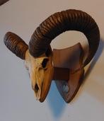 Crâne de Mouflon taxidermie, Zo goed als nieuw, Ophalen, Schedel