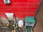 Porte automatique et mangeoire, Dieren en Toebehoren, Pluimvee | Toebehoren, Ophalen of Verzenden, Gebruikt, Kippenhok of Kippenren