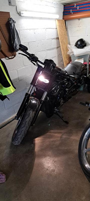 Te koop Harley-Davidson brod VRSCDX night rod jaar 2007 in beschikbaar voor biedingen