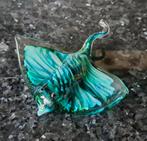 Glazen pijlstaartrog, Enlèvement ou Envoi