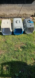 Propere transportbox, Dieren en Toebehoren, Ophalen, Zo goed als nieuw