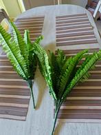 Varens in kunststof, Ophalen of Verzenden, Nieuw, Binnen