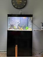 Aquarium, Enlèvement, Comme neuf