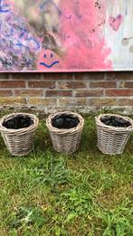 Rieten bloemmandjes, Ophalen, Gebruikt, Overige materialen, Minder dan 25 cm