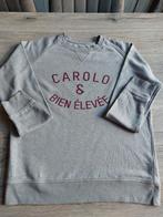 Pull T Shirt Mania taille L très bon état, Ophalen, Maat 42/44 (L), Grijs, Gedragen