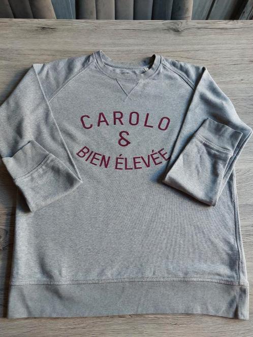 Pull T Shirt Mania taille L très bon état, Kleding | Dames, Truien en Vesten, Gedragen, Maat 42/44 (L), Grijs, Ophalen