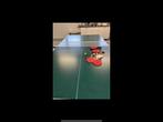 Tafeltennis, Sport en Fitness, Tafeltennis, Ophalen, Zo goed als nieuw, Tafel Indoor, Inklapbaar