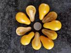 5 zaden gele peer tomaatjes - biologisch, Verzenden, Voorjaar, Volle zon, Zaad