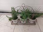 Decoratie/ plantenrekje, Tuin en Terras, Ophalen, Zo goed als nieuw