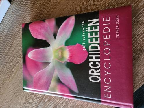 Zdenek Jezek - Geillustreerde orchideeen encyclopedie, Livres, Maison & Jardinage, Comme neuf, Enlèvement ou Envoi