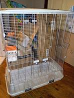 Cage oiseaux, Enlèvement, Utilisé