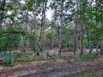Bosgrond in Retie, Immo, Gronden en Bouwgronden, Retie, 200 tot 500 m², Verkoop zonder makelaar