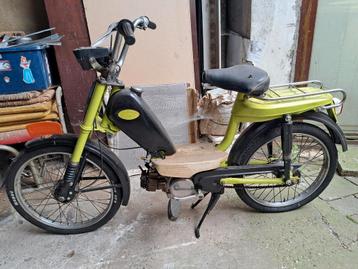 Honda novio  beschikbaar voor biedingen