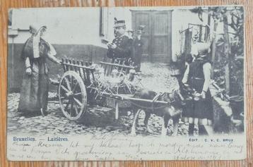 Attelage chien oude postkaart Bruxelles Laitières 1902 beschikbaar voor biedingen