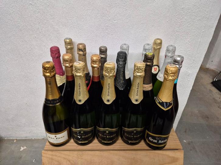 18 Flessen Schuimwijn (5€/fles), Verzamelen, Wijnen, Zo goed als nieuw, Champagne, Vol, Ophalen