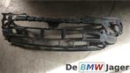 midden inleg voorbumper BMW X5 E53 51117111762, Auto-onderdelen, Gebruikt, Ophalen of Verzenden, Bumper, Voor