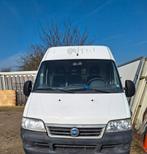 Fiat Ducato 2300 cc diesel, Auto's, Bestelwagens en Lichte vracht, Diesel, Particulier, Te koop, Fiat