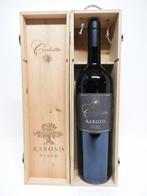 Wijn Cecchetto Raboso van 2000, Magnum 1,5 liter, Collections, Vins, Pleine, Italie, Enlèvement ou Envoi, Vin rouge