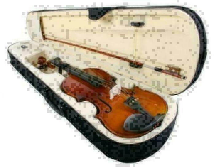 Viool 4/4 incl. vioolkist strijkstok NIEUW, Hobby en Vrije tijd, Overige Hobby en Vrije tijd, Nieuw, Ophalen