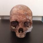 Crâne antique, Enlèvement ou Envoi