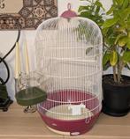 Cage pour petit oiseau / canari, Animaux & Accessoires, Enlèvement