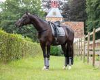 LeMieux Carbon Mesh Grijs dressuur dekje SALE!, Dieren en Toebehoren, Paarden en Pony's | Dekens en Dekjes, Ophalen of Verzenden