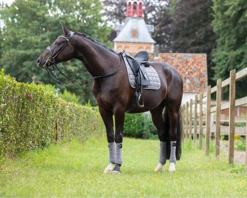 LeMieux Carbon Mesh Grijs dressuur dekje SALE!, Dieren en Toebehoren, Paarden en Pony's | Dekens en Dekjes, Nieuw, Dekje, Ophalen of Verzenden