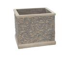 Bloempot 40 x 40 + bamboe +1m50, Tuin en Terras, Planten | Struiken en Hagen, Ophalen, Bamboe