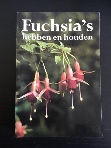 Fuchsia's hebben en houden beschikbaar voor biedingen