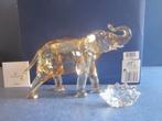 Swarovski SCS 2013 Cinta Olifant, Ophalen of Verzenden, Nieuw, Figuurtje