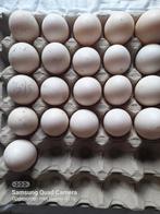Pekingeenden eieren