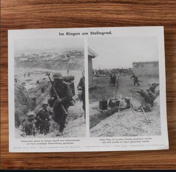 Photo du Kriegsberichter de Stalingrad de la Wehrmacht de la, Enlèvement ou Envoi