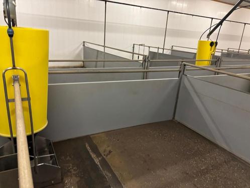 Kunststof hokinrichting vleesvarkens [321], Dieren en Toebehoren, Schapen, Geiten en Varkens
