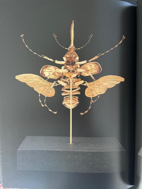 Kunstboek Jan Fabre chapitres I-XVIII Cires & Bronzes, Boeken, Kunst en Cultuur | Beeldend, Nieuw, Beeldhouwkunst, Ophalen of Verzenden