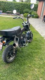 Dax Z 50cc, Fietsen en Brommers, Brommers | Honda, Ophalen of Verzenden, Zo goed als nieuw