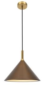 Degelijke hanglamp (nieuw in doos), Ophalen